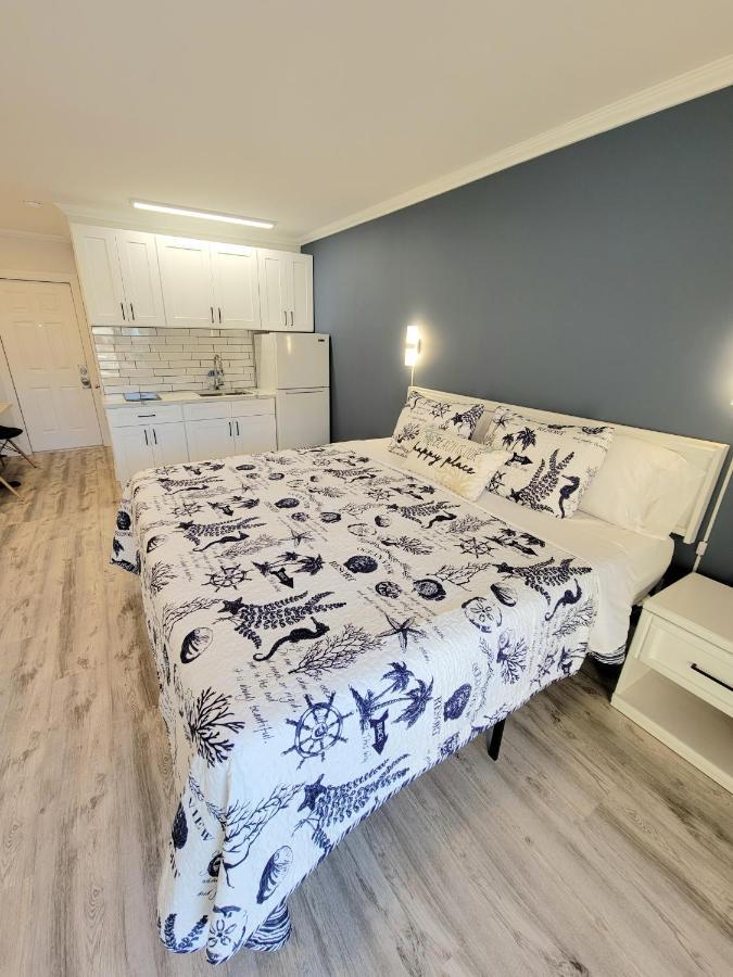 סיינט פיט ביץ' Satellite Motel מראה חיצוני תמונה